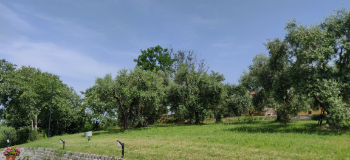 Foto Poggio di Pastrengo